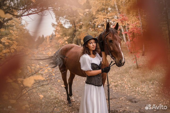 Прогулка на лошадях