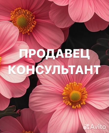 Старший продавец-консультант в ТЦ Мтв Центр