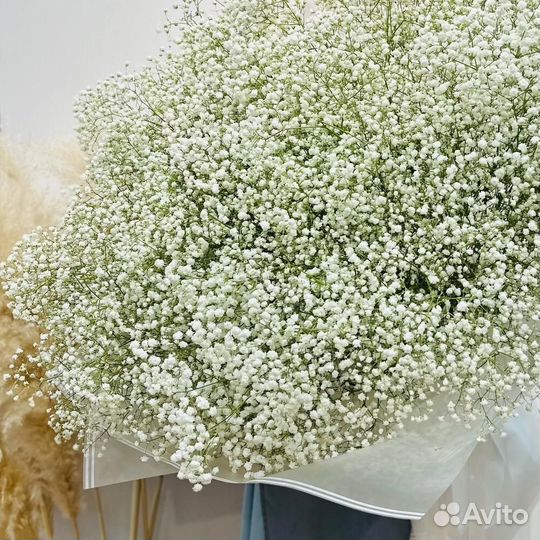 Элит букет 25 веток белоснежной гипсофилы