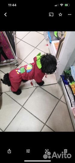 Дождевик для собаки