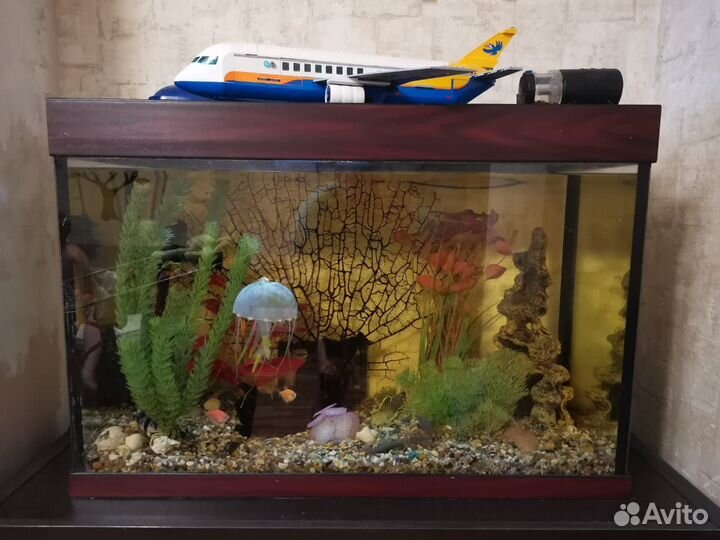 Аквариум