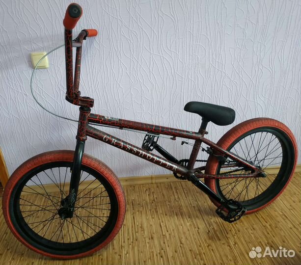 BMX teach team grashopper