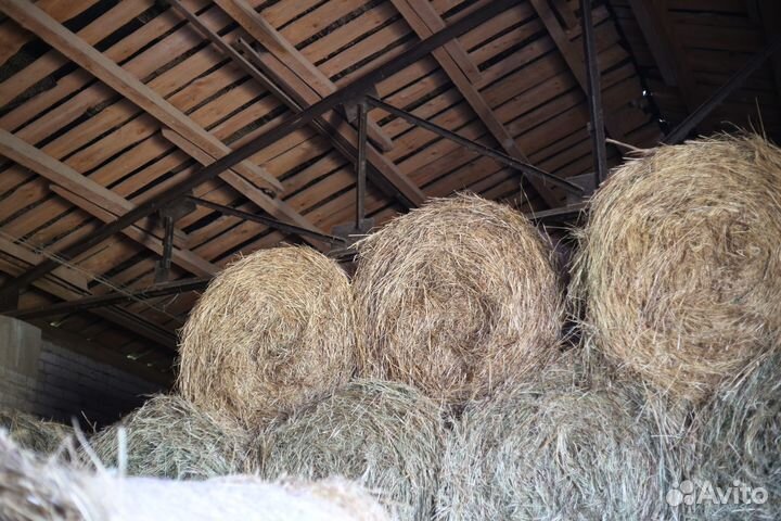 Сено в рулонах