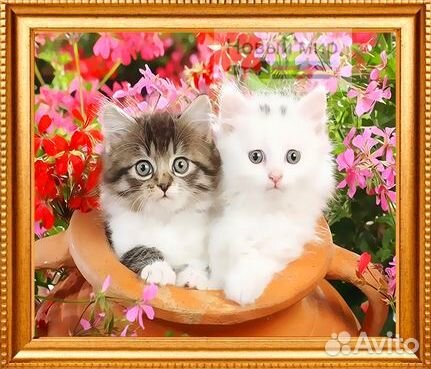 Алмазная живопись 2в1 (вышивка 40*50) мозаика