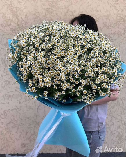 Ромашки букет