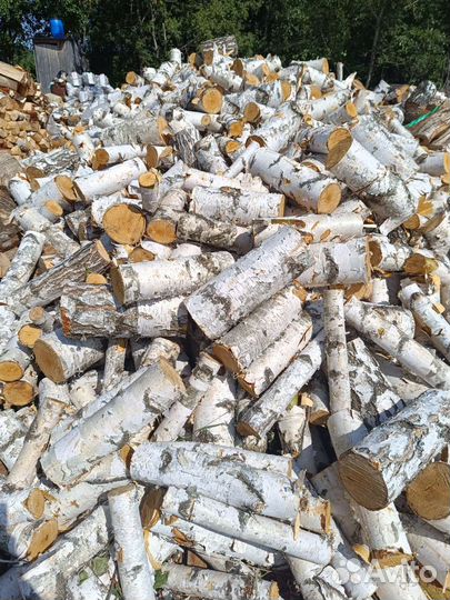 Дрова березовые