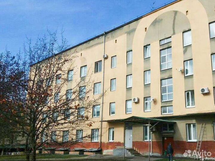 Безвоздушная покраска стен и потолков