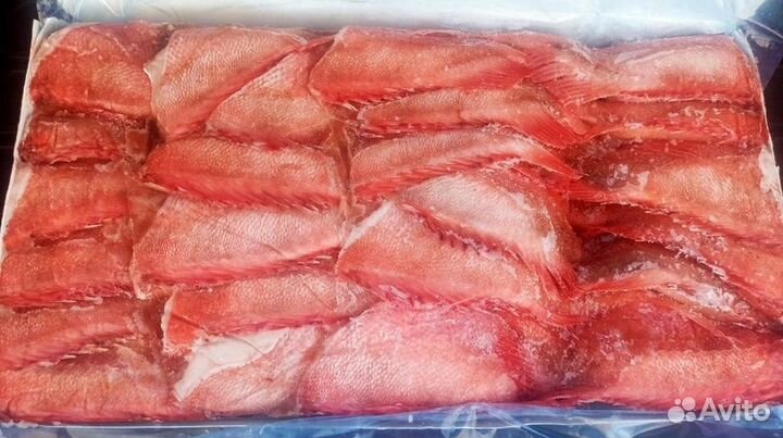 Морской окунь