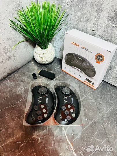 Игровая приставка Sega SG800 (1212)