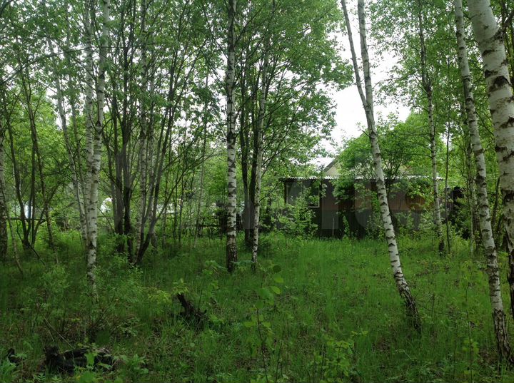 Участок 8 сот. (СНТ, ДНП)