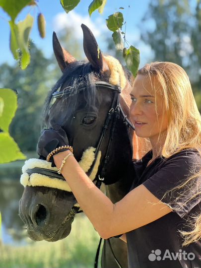 Прокат лошадей