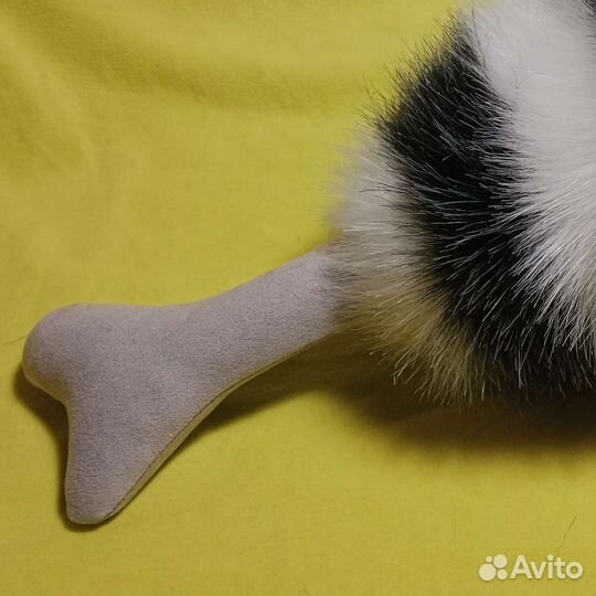 Фурри кость. Фурсьют
