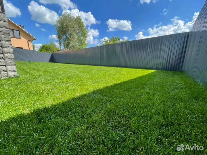 Рулонный газон, укладка, продажа