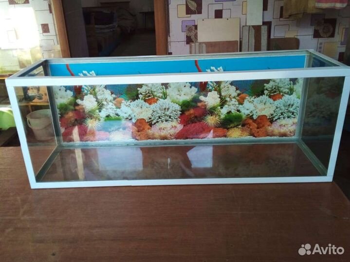 Аквариумы 120, 100 и 70 л
