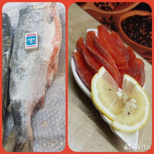 Красная рыба