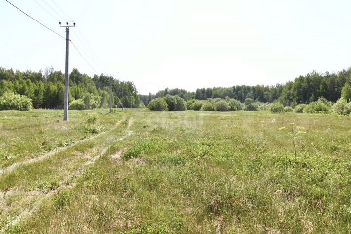 Участок 15,4 сот. (СНТ, ДНП)