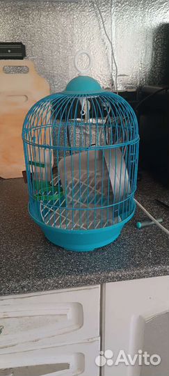 Клетка для канареек бу