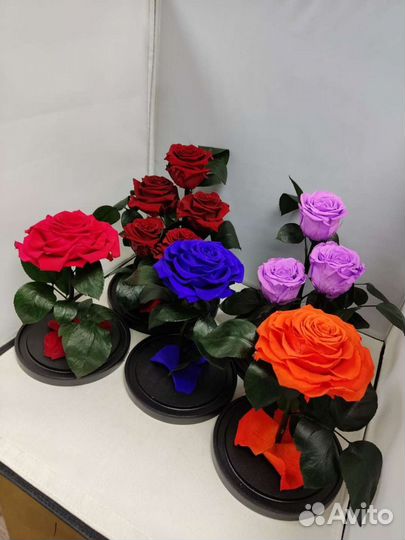 Роза в колбе оптом и в розницу