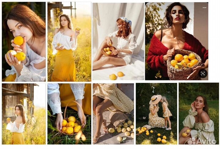 Фотопроекты Августа