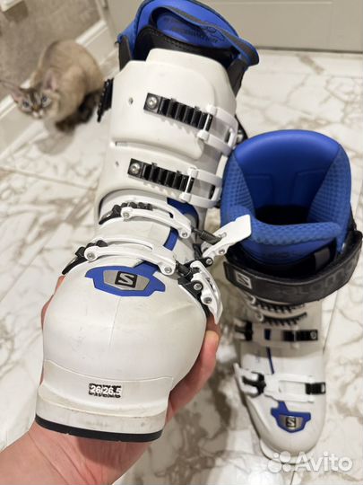 Горнолыжные ботинки