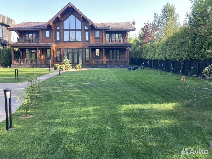 Рулонный газон. Благоустройство