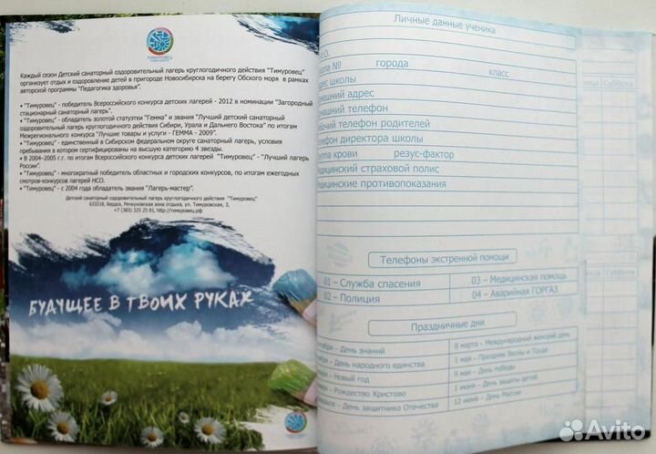 Дневник школьный «Дневник Тимуровца» (новый)