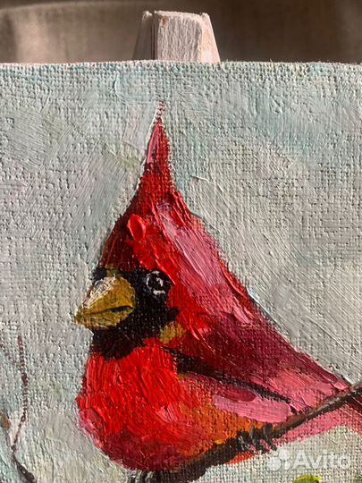 Миниатюры маслом Птички