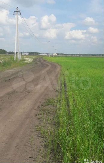 Участок 15 сот. (СНТ, ДНП)