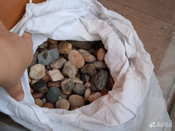 Террариум, лампа, камни, корм