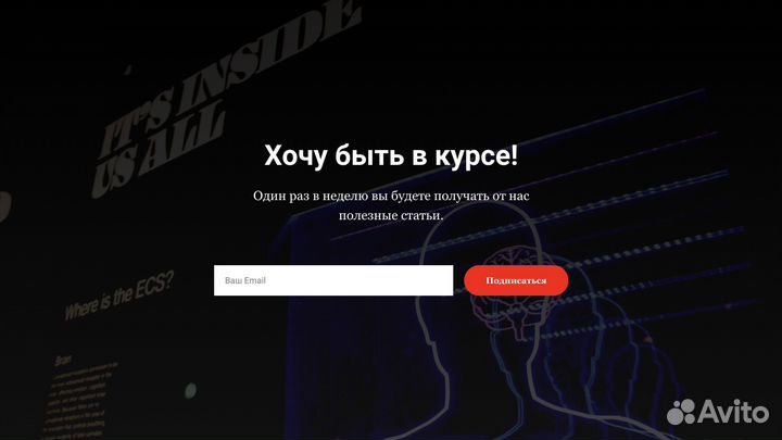 Создание сайтов на Tilda