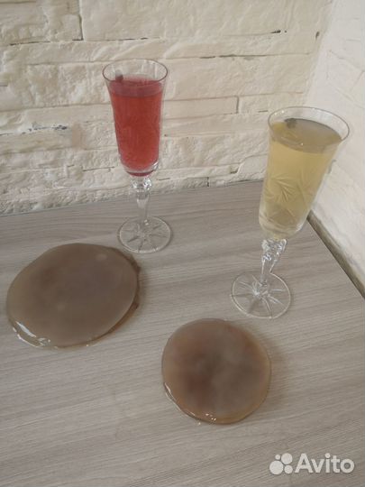 Чайный гриб