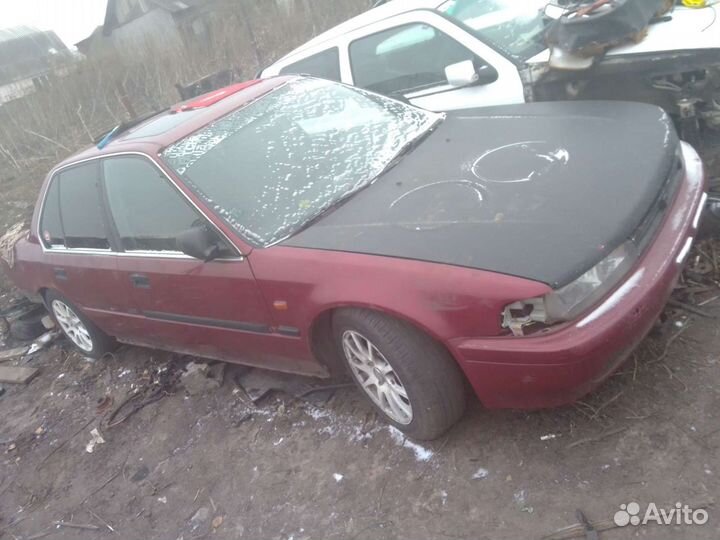 Хонда аккорд 1992г