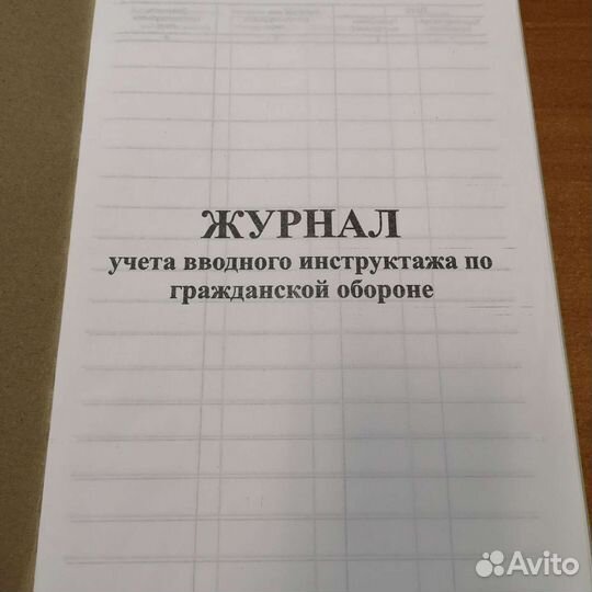Журнал учета вводного инструктажа по го, 48с