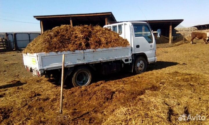 Навоз конский