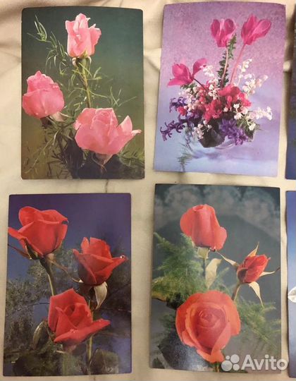 Почтовые открытки