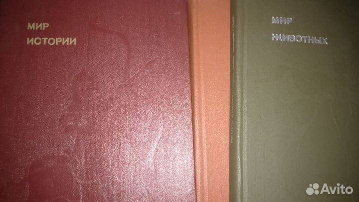 Мир животных, истории. Кусто.Птицы. Кролик, Медвед