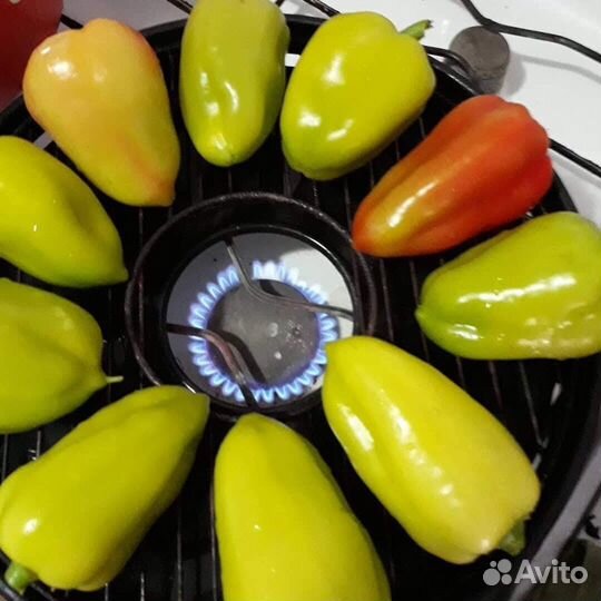 Газовый гриль