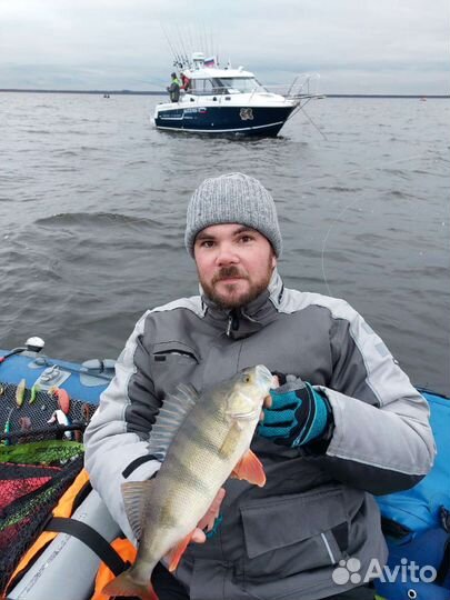 Катер Merry Fisher 755