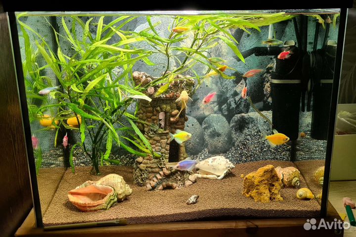 Аквариум
