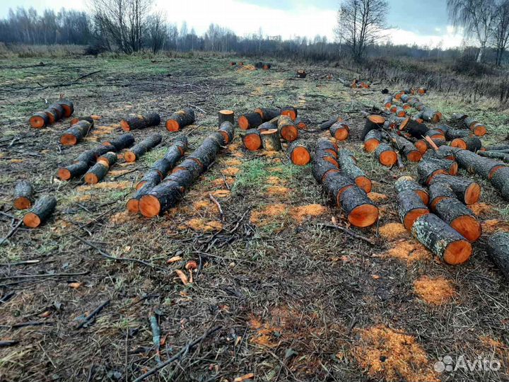 Продам дрова Ольха