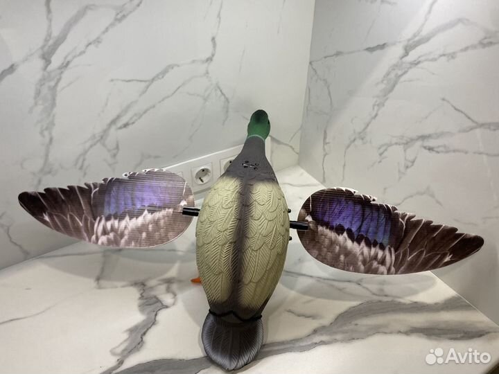 Утка махокрыл, чучело утки махокрыл, приманка