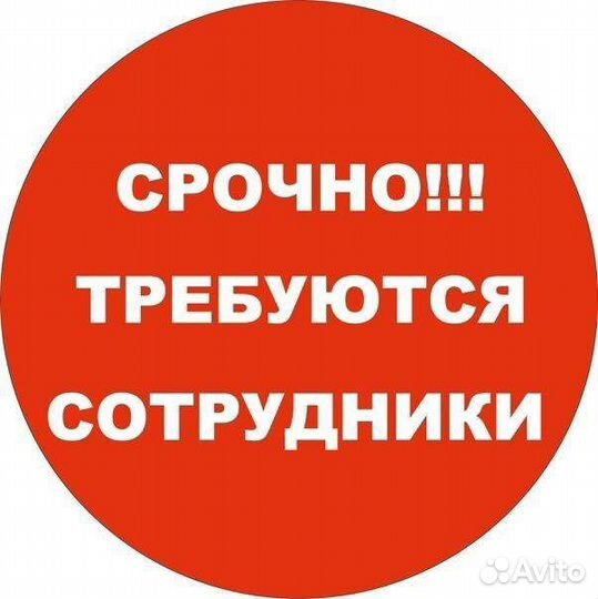 Работа с ежедневной оплатой для студентов