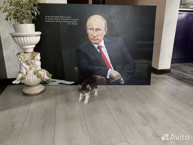 Портрет Путина 60х80 объявление продам