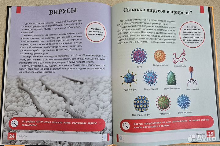 Микромир наблюдаем в микроскоп