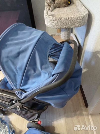Коляска geoby