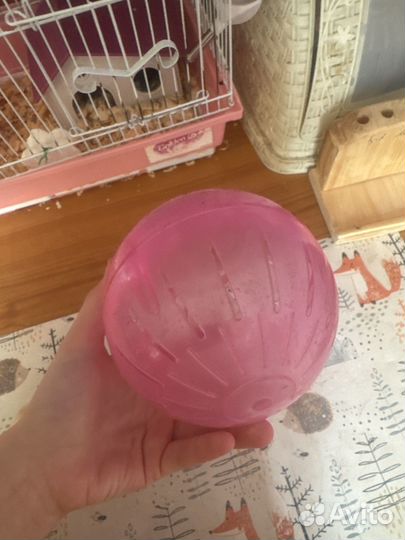 Хомяк с клеткой