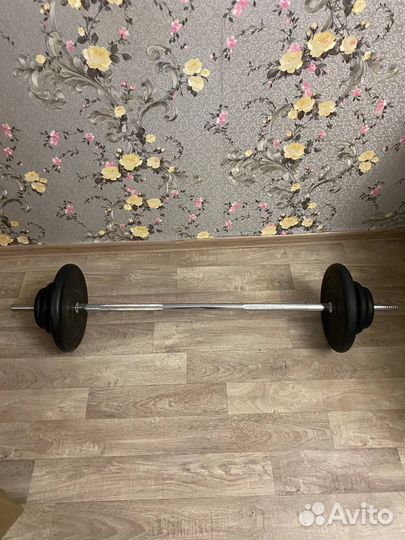 Штанга с блинами