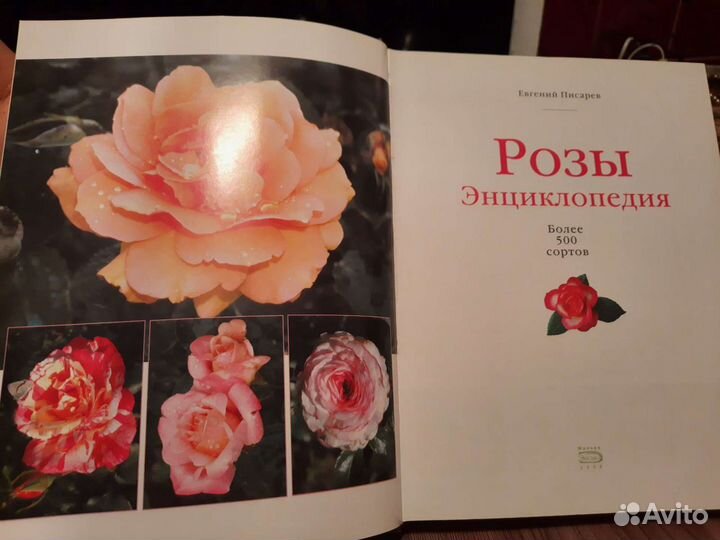 Энциклопедия Розы