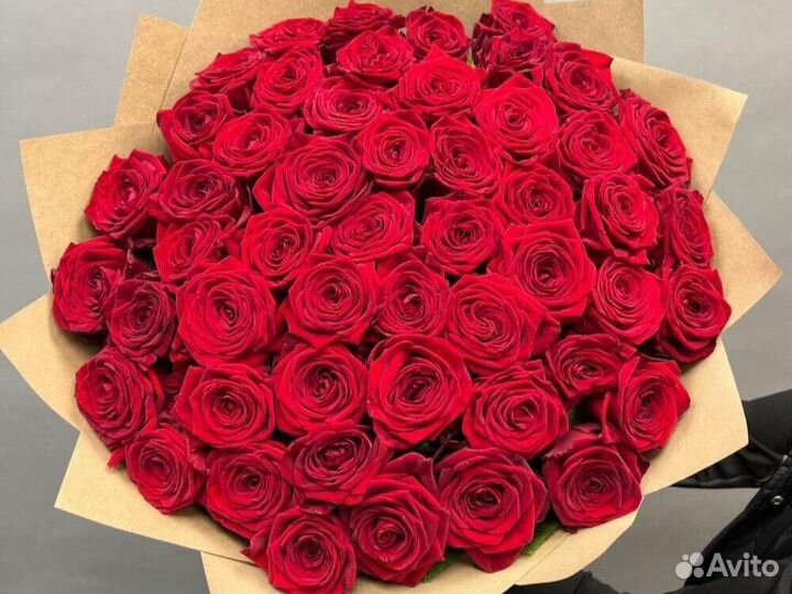 Розы Цветы Букеты 25 51 101