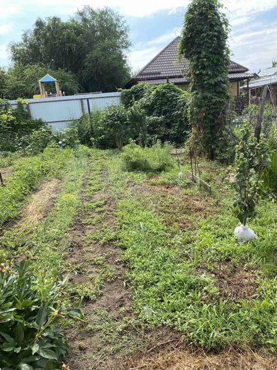 Дом 69,6 м² на участке 4 сот.